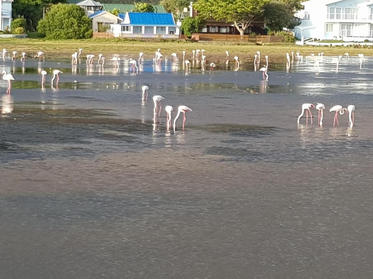 فندق At 29 Columba Great Brak River المظهر الخارجي الصورة